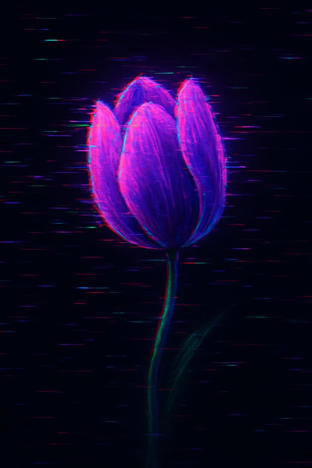 Purple flower on dark background